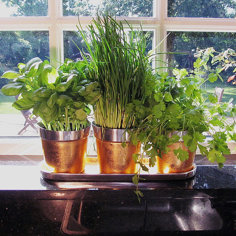 Garden Décor | Buy online from Wayfair UK