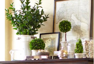 Faux for Show: Potted Plants & Trees