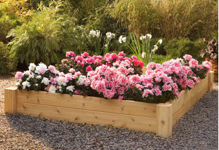 Buy Plant Some Charm: Garden Decor!