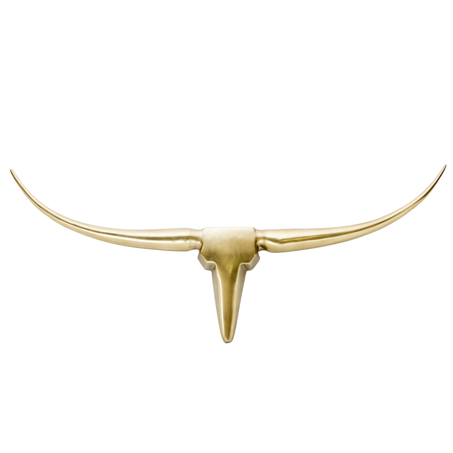 Longhorn Wall Decor