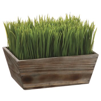 Tori Home Grass in Rectangular Wood Planter &amp; Reviews 