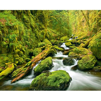 Brewster Home Fashions Ideal Decor Green Canyon Cascades Wall Mural