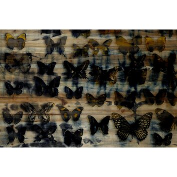 Dark Monarch Society Wall Art on Natural Pine Wood