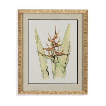 Elegant Tropics VI Framed Painting Print