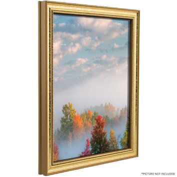 Craig Frames Inc. 0.75 Wide Picture Frame