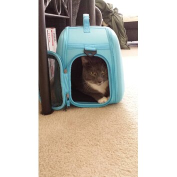 Pet Life Pet Carrier & Reviews | Wayfair