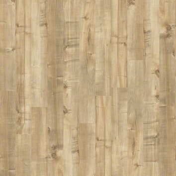 Shaw Floors Boulevard 5 x 48 x 10mm Maple Laminate in Cool Khaki