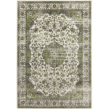 Aberdine Light Gray/Lime Area Rug