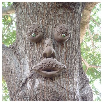 Mr.Mapleshade Tree Face