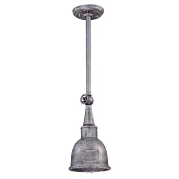 Raleigh 1 Light Outdoor Hanging Pendant