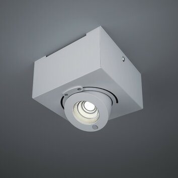 Bridge 1 Light Head Tilt Flush Mount