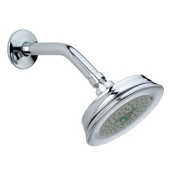 Hansgrohe Croma C 100 Shower Head