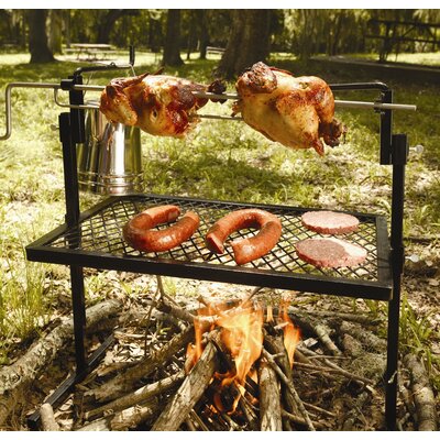 camping grills and stoves 