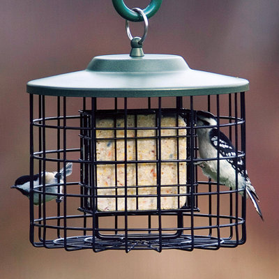 Stokes Select Squirrel Proof Double Suet Holder Bird Feeder | Wayfair
