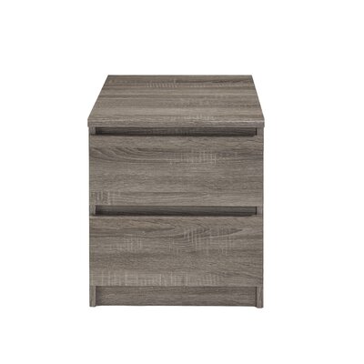 Scottsdale 2 Drawer Nightstand by Tvilum