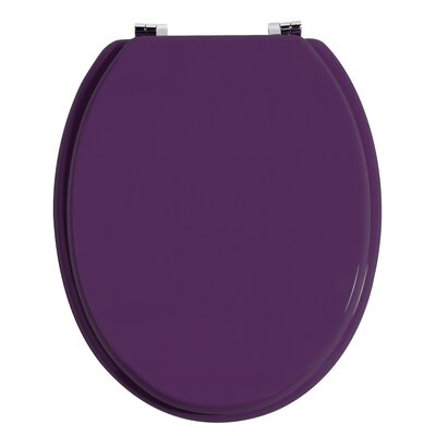 All Home Toilet Seat in Purple & Reviews | WF
