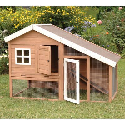 Precision-Pet-Products-Cape-Cod-Chicken-Coop-with-Chicken-Run-Nesting ...