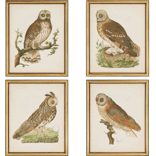 Owls by Nozeman 4 Piece Framed Painting Print Set Wayfair