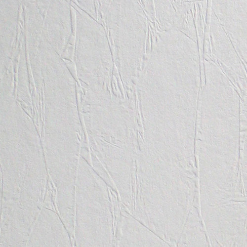 Anaglypta Paintable Portland Original 33' x 20.5" Floral and Botanical