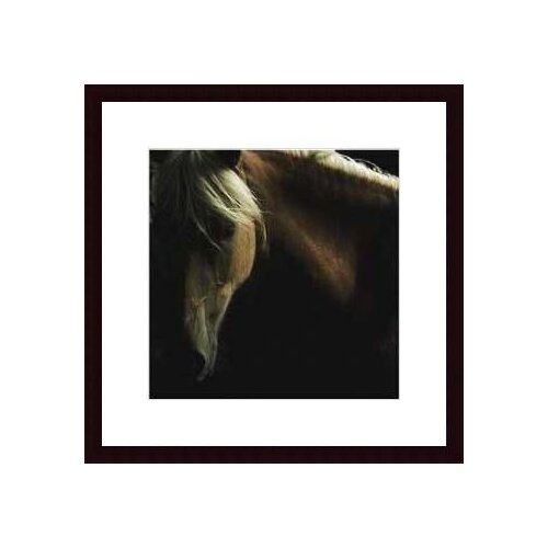 Printfinders Spirit Horse by Tony Stromberg Framed Photographic