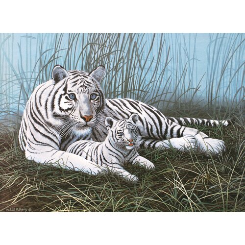 Painting by Numbers Large Tigers Junior Set by Royal & Langnickel