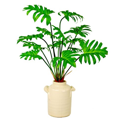 Philodendron in Planter by Creative Displays, Inc.