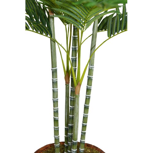 Tall Palm Tree in Planter by Laura Ashley Home