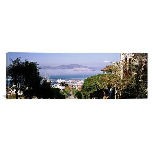 Panoramic Trees Along the Hyde Street, San Francisco, California