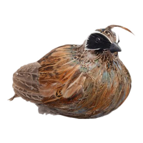Boston International Medium Quail Figurine & Reviews Wayfair
