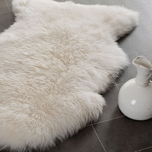 AshtonunderLyne White Novelty Rug Wayfair