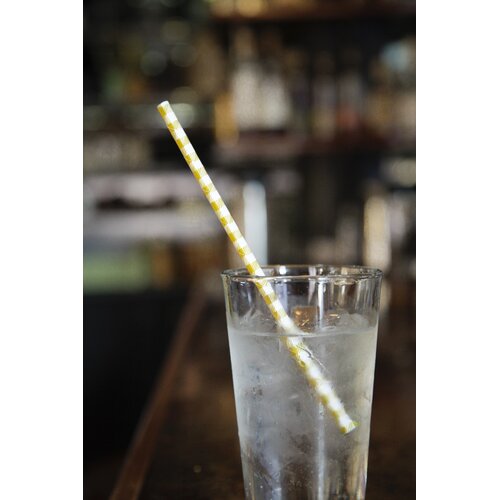 Kikkerland Box of 144 Gingham and Plaid Paper Straws