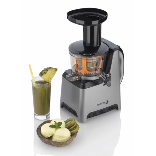 Platino Slow Juicer and Sorbet Maker Wayfair