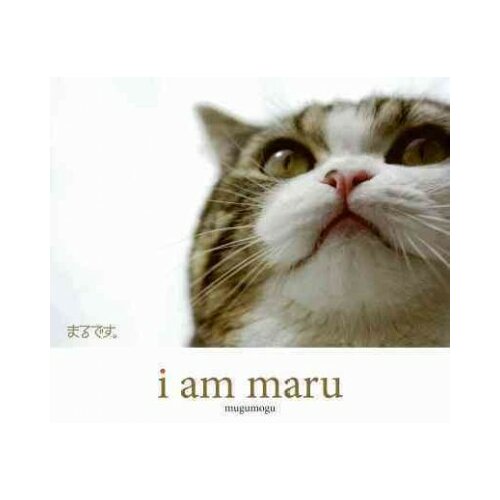 Am Maru by Harper Collins Publishers