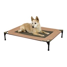 Elevated Dog Cot