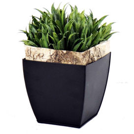 Rye Grass And Bark in Zinc Planter
