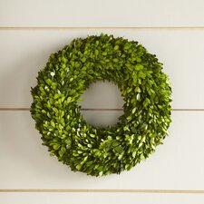 12 "Preserved Boxwood Wreath