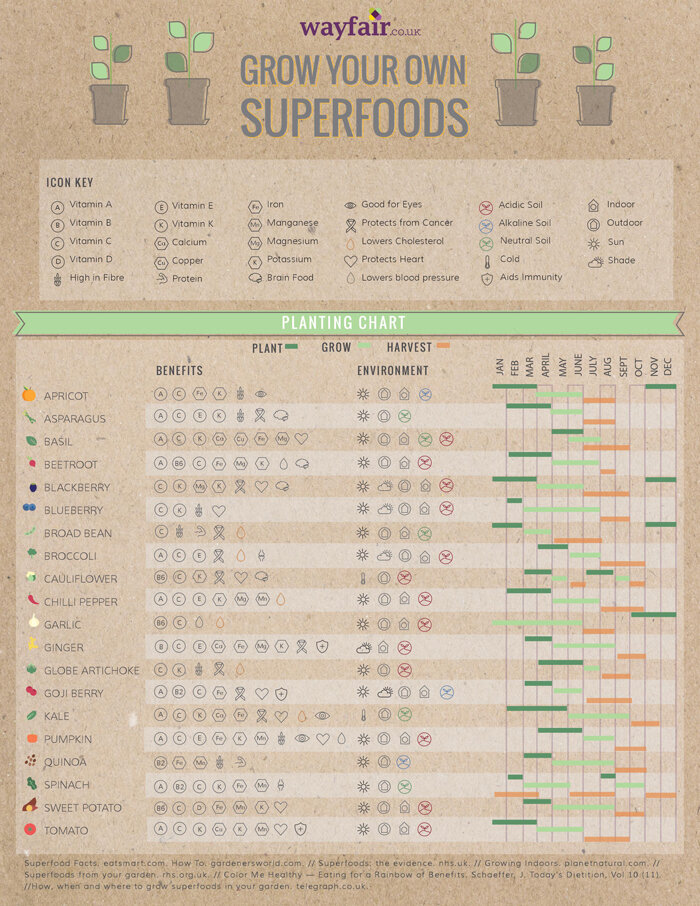 Grow Your Own Superfoods