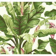 Ashford Tropics 27' x 27" Banana Leaf Wallpaper