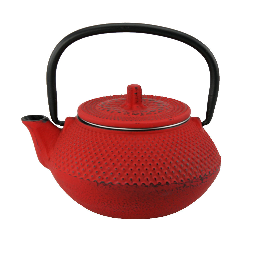 Creative Home Kyusu 0.31qt Cast Iron Teapot & Reviews Wayfair