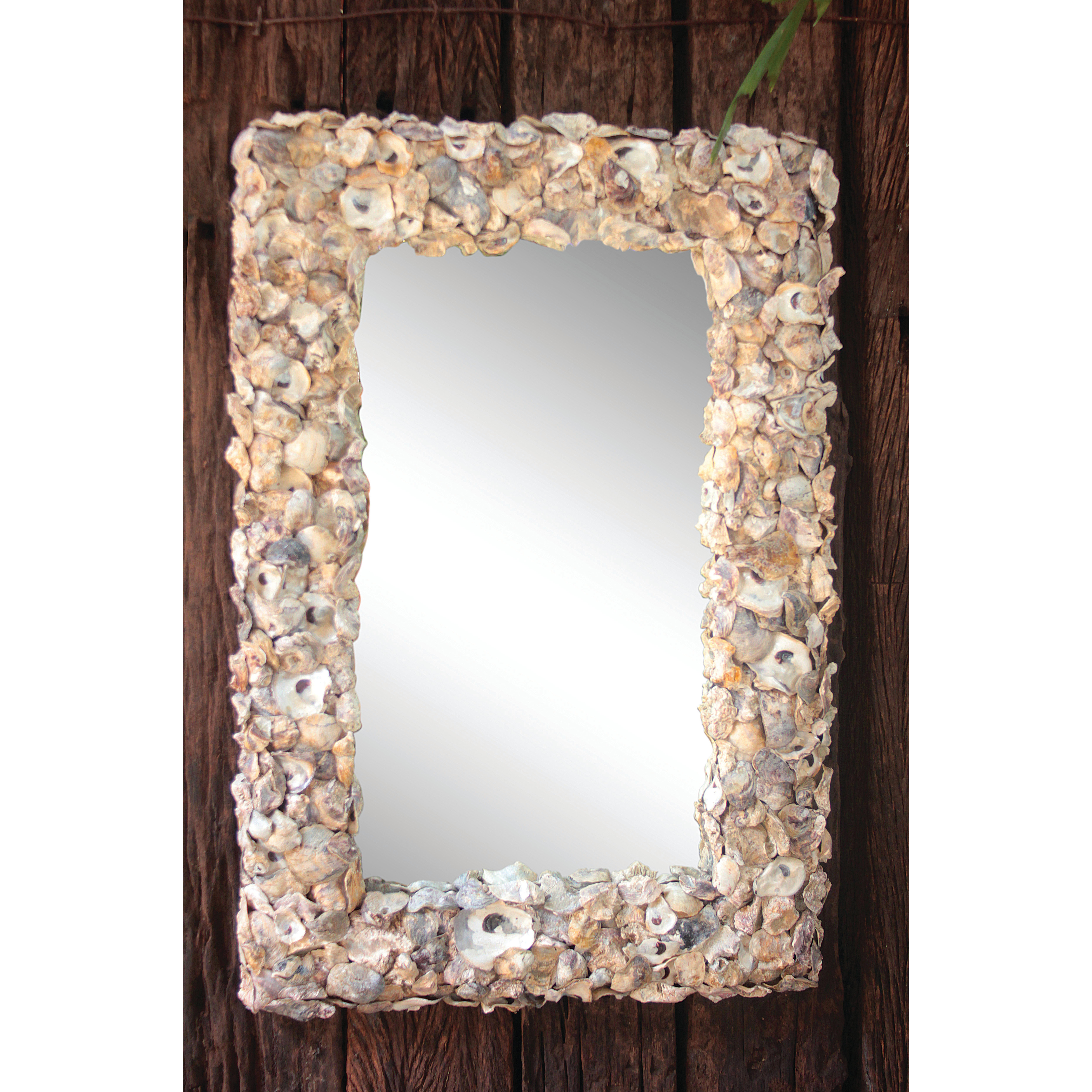 Creative CoOp Sanctuary Mirror & Reviews Wayfair