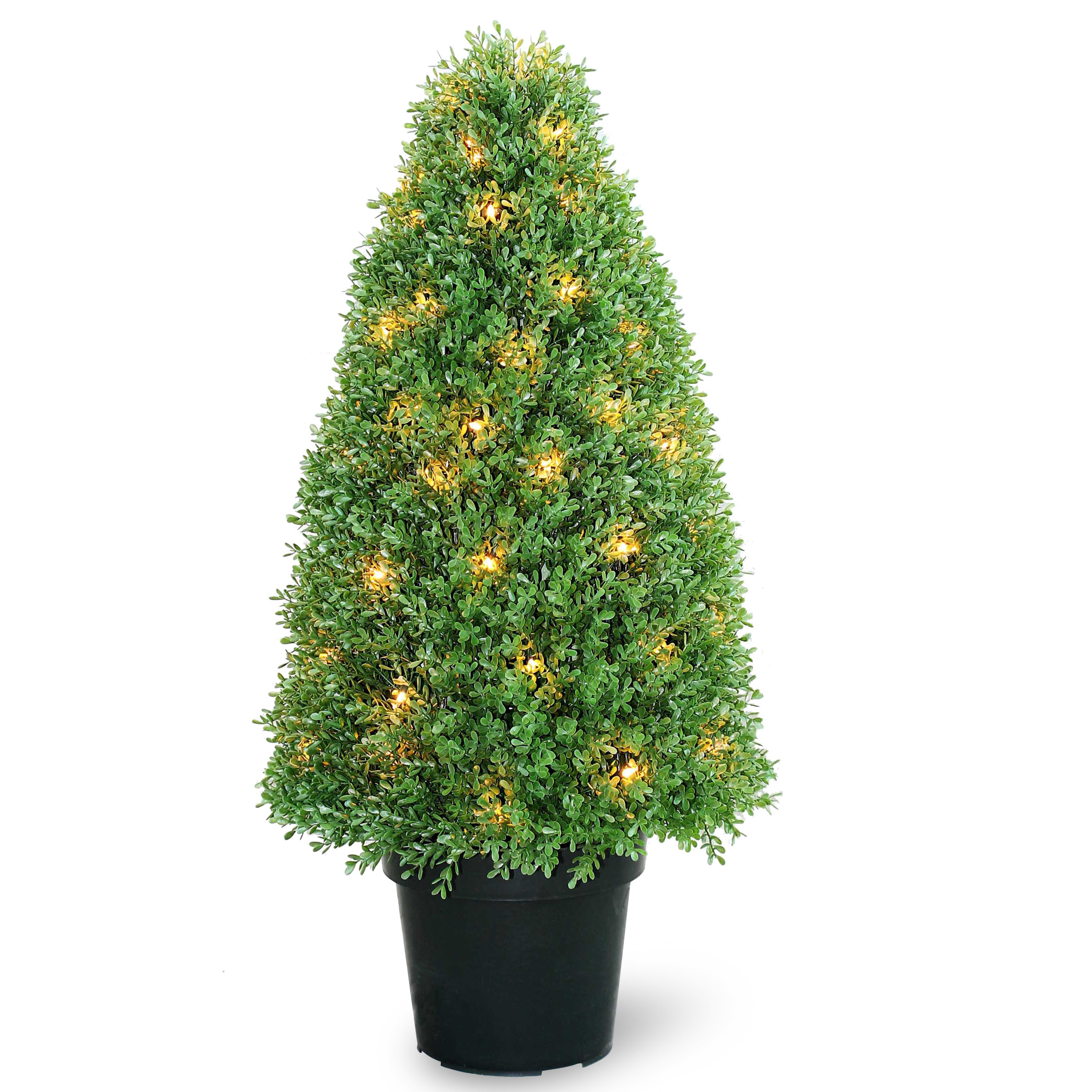 National Tree Co. PreLit Boxwood Round Tapered Topiary in Pot