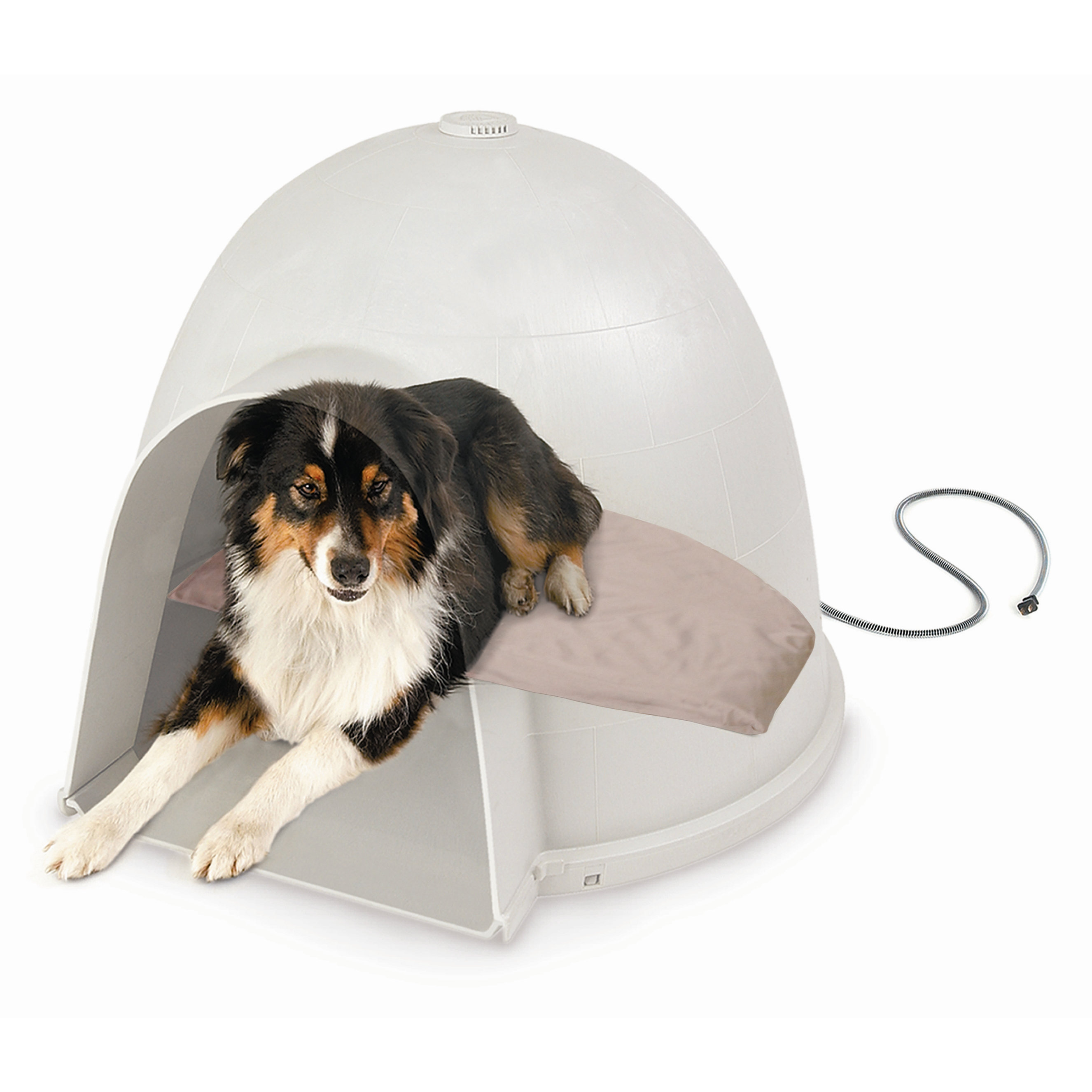 Igloo Soft Heated Dog Dome Heating Pad Wayfair