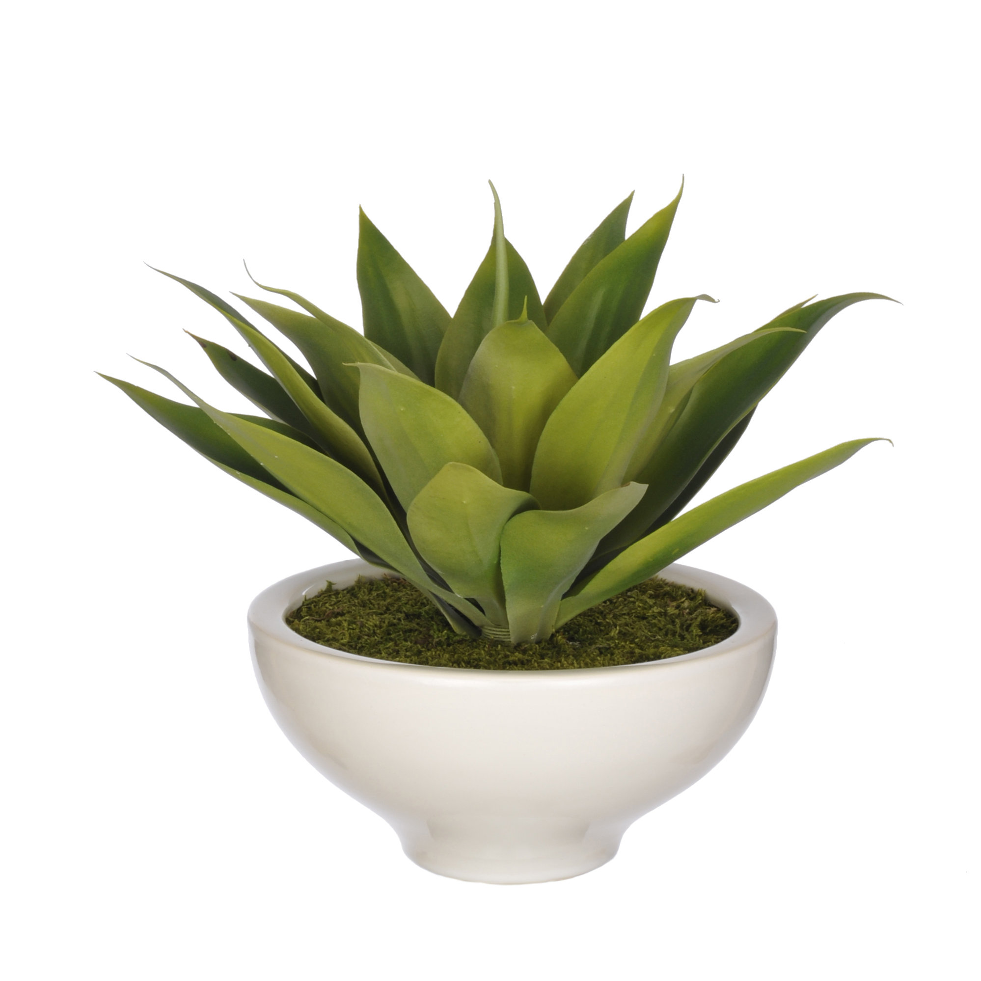 Artificial Agave Desk Top Plant in Pot Wayfair