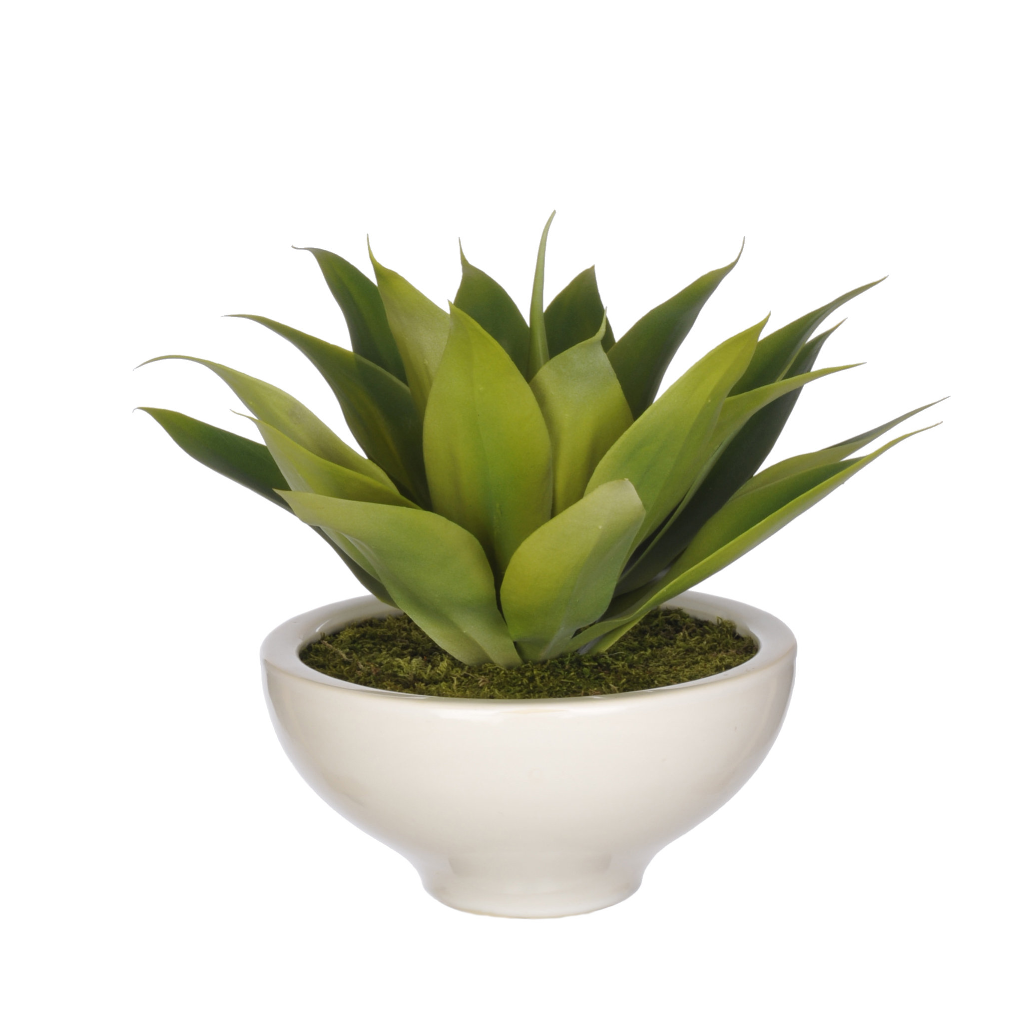 Artificial Agave Desk Top Plant in Pot Wayfair