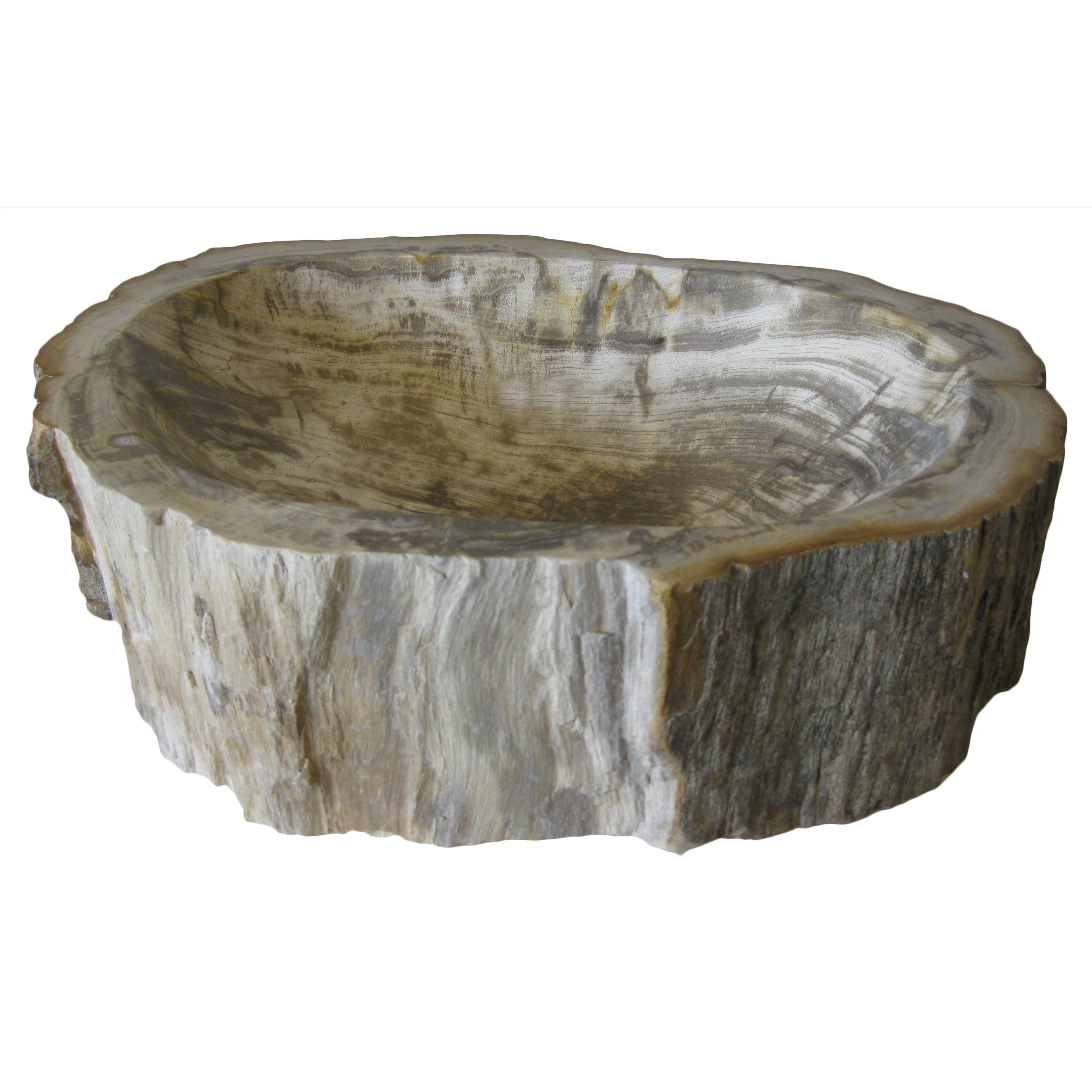 Novatto Petrified Fossil Wood Vessel Sink & Reviews Wayfair