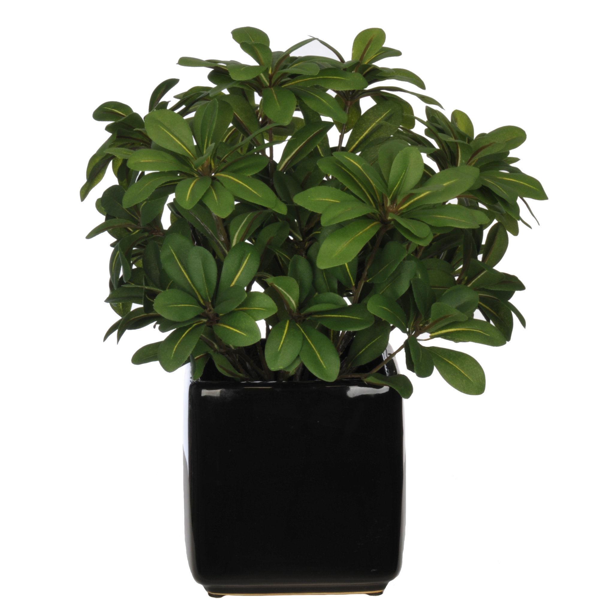 Varick Gallery Artificial Desk Top Plant in Pot &amp; Reviews