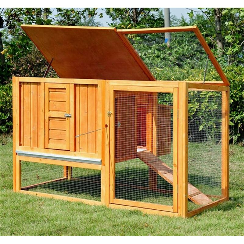 Chicken Coop/Hen House with Nesting Box and Outdoor Run Wayfair 