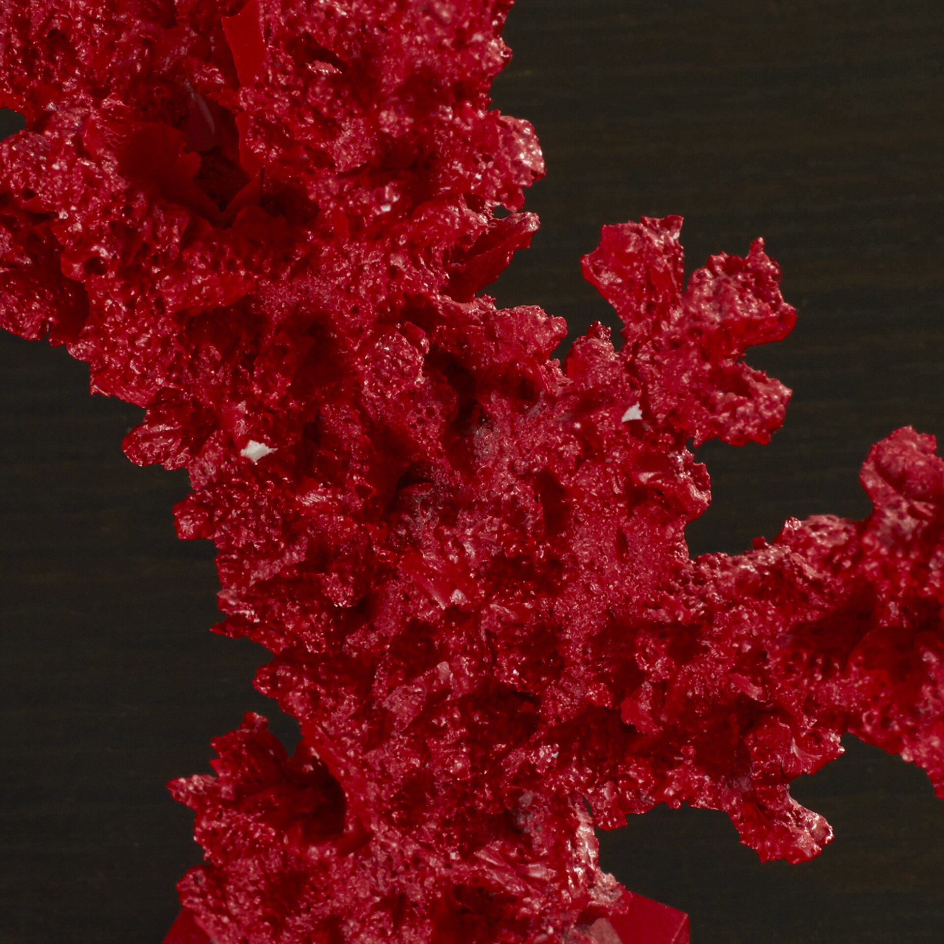 coral resin sculpture