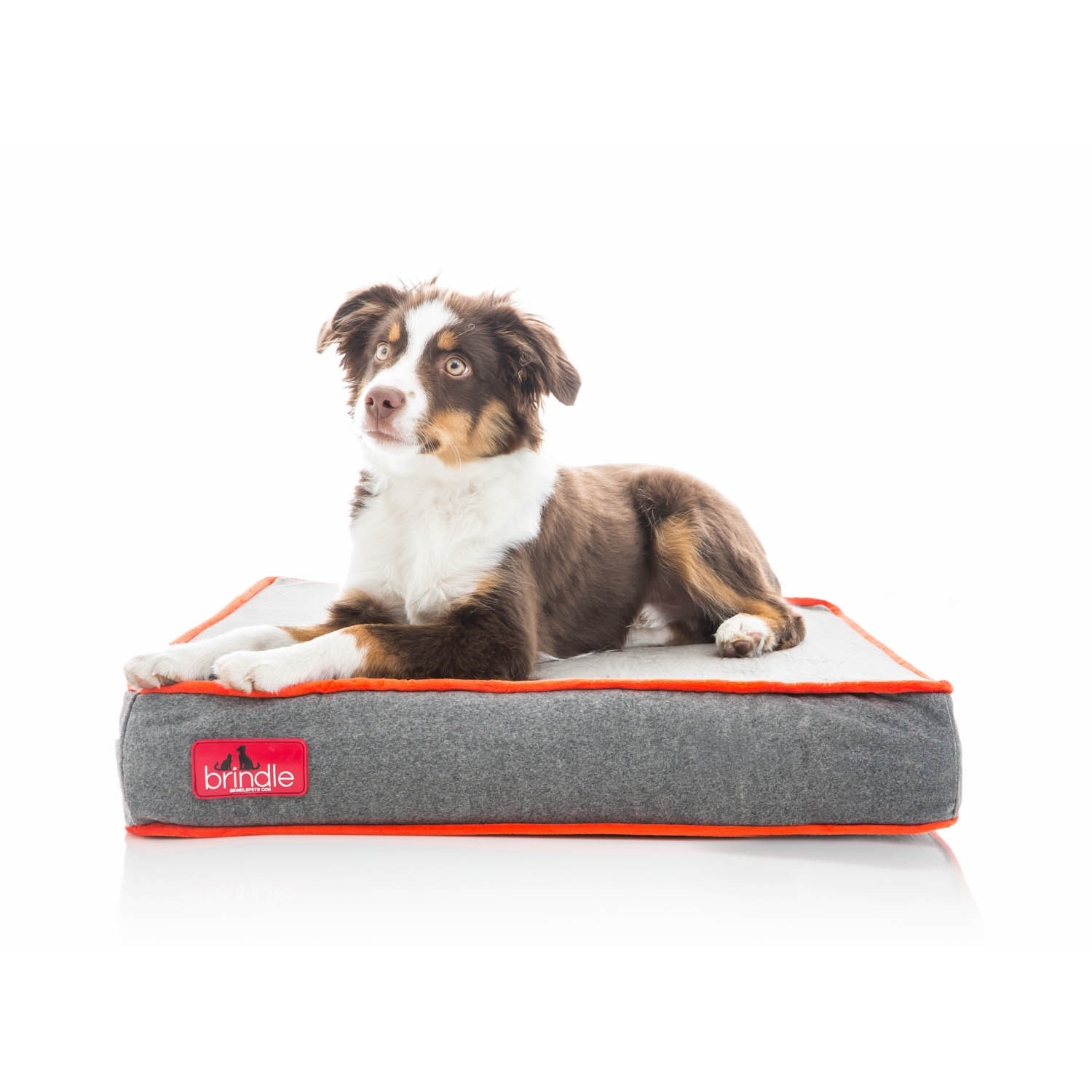 Brindle Waterproof Designer Memory Foam Pet Bed & Reviews Wayfair