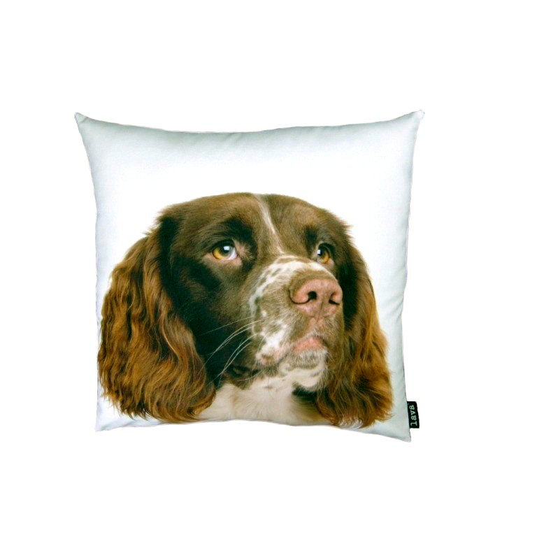 springer spaniel cushion